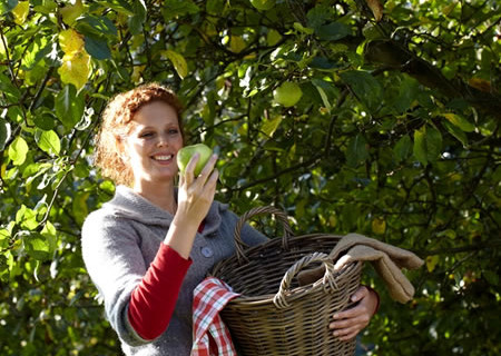 Tuinplant van de Maand augustus: fruitboom